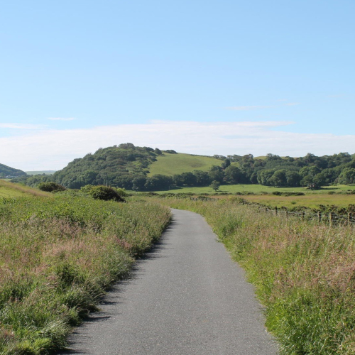 Easy rides for summer